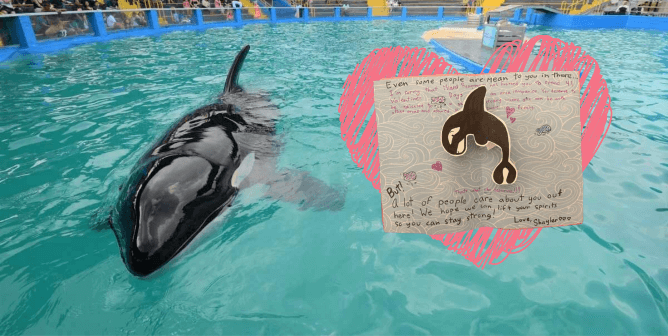 Lolita with PETA Kids Valentine's Day card