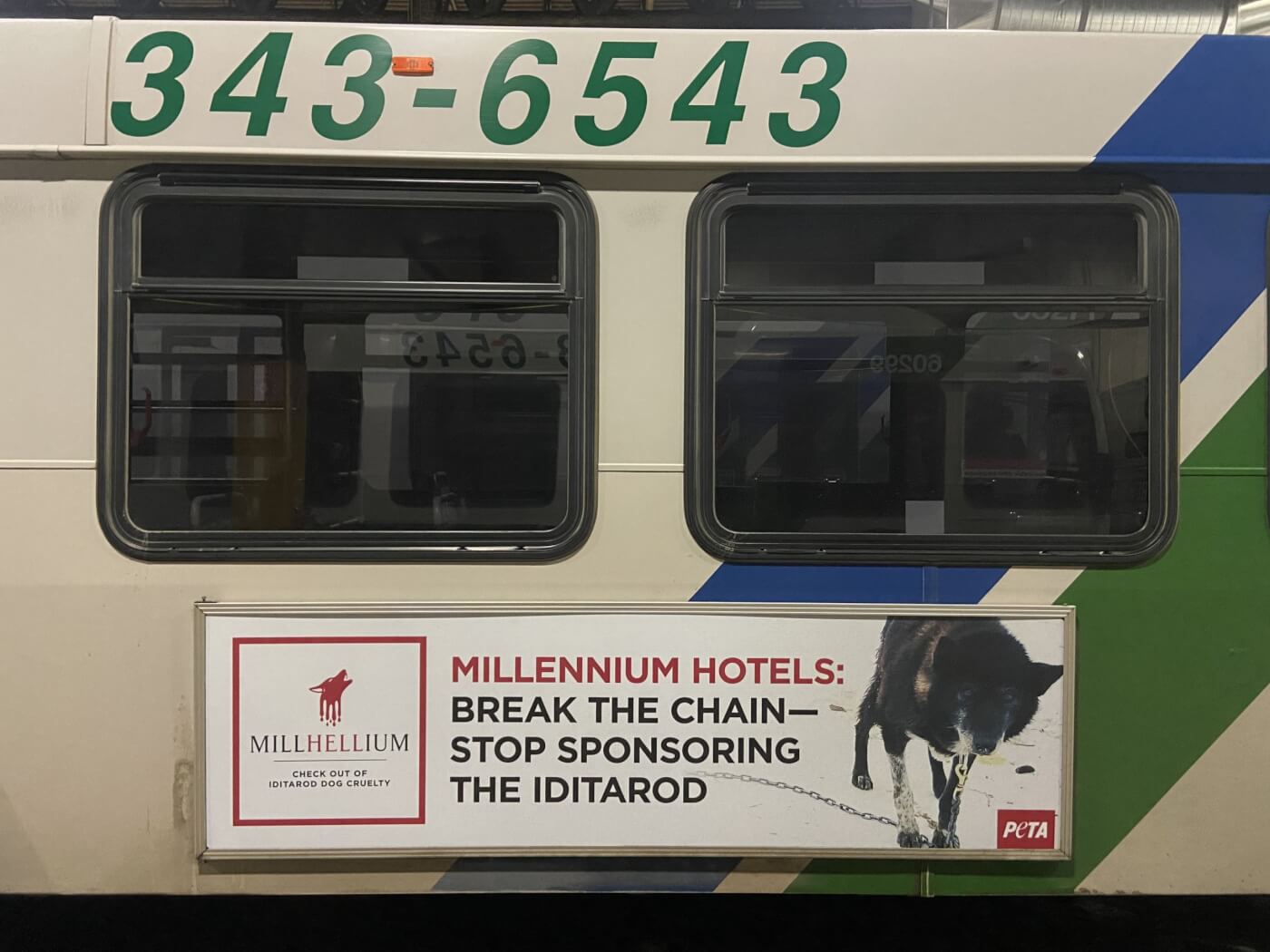 peta bus ad calls on millennium hotels to cut ties with deadly iditarod