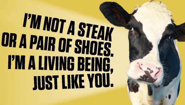Help Stop the Exploitation of Cows for Food and Leather in Just 10 Seconds