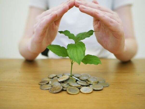 pile of coins or saved money from low cost of veganism grows a green plant