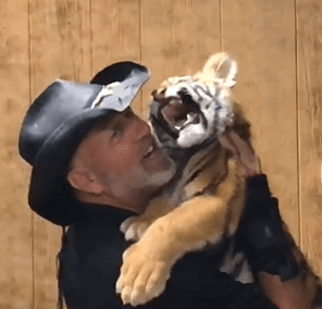 tim stark and a tiger cub
