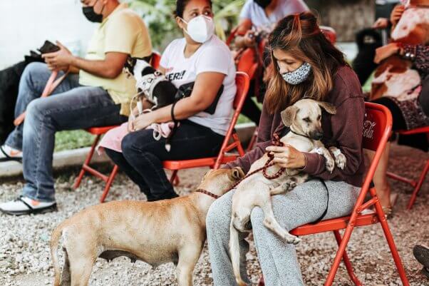 It's a Spay/Neuter Valentine's Day in Cancún