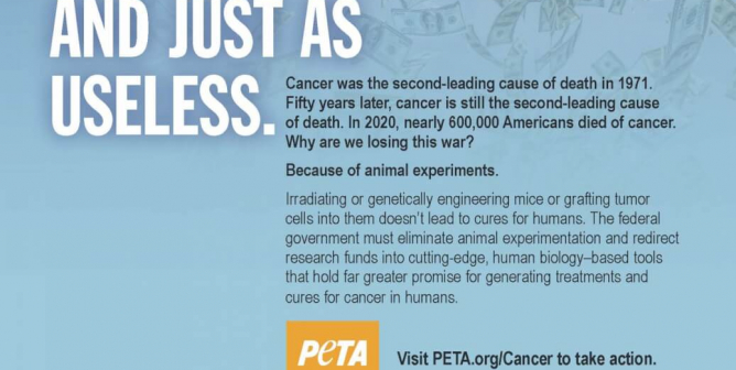 The War On Cancer: Almost As Expensive As Afghanistan And Just As Useless