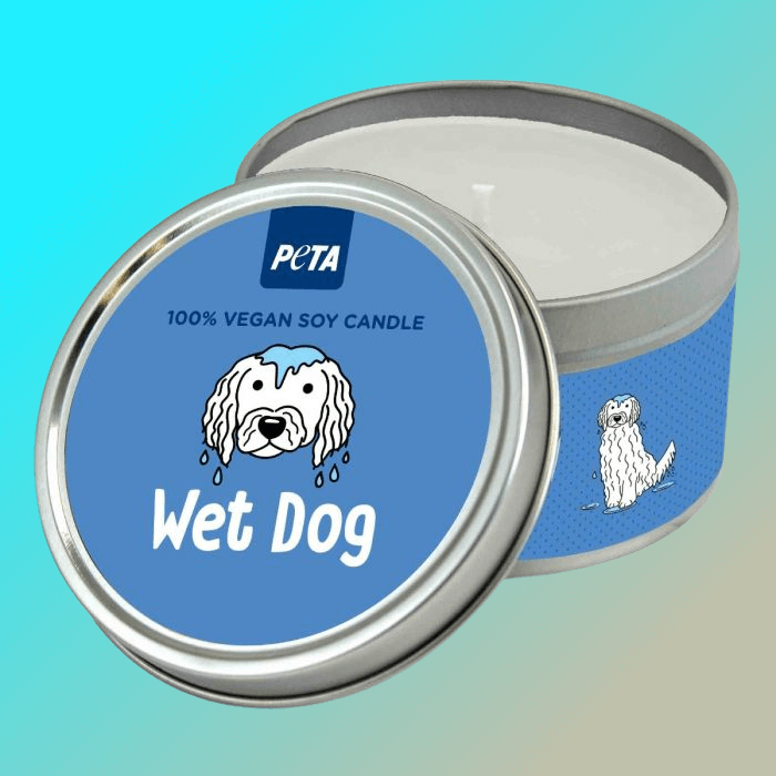 wet dog scented candle