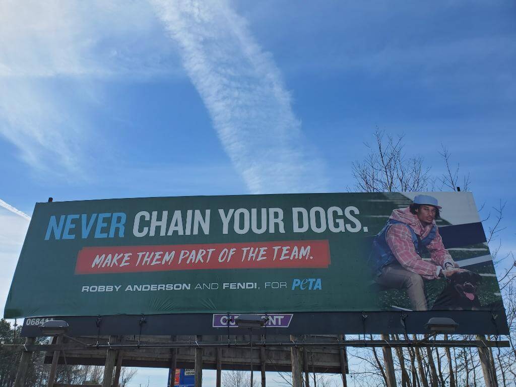 never chain your dogs robby anderson billboard displayed in halifax, nc