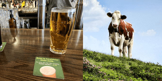Save a Cow, Drink a Beer—‘Dump Dairy’ This St. Patrick’s Day!