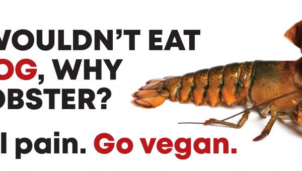 If You Wouldn’t Eat Your Dog, Why Eat A Lobster? Both Feel Pain. Go Vegan.
