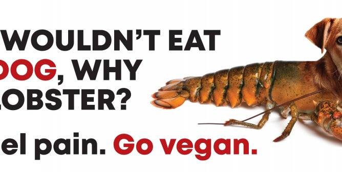 PETA ad showing a lobster with a dog's head, that reads "If you wouldn't eat your dog, why eat a lobster? Both feel pain. Go vegan."