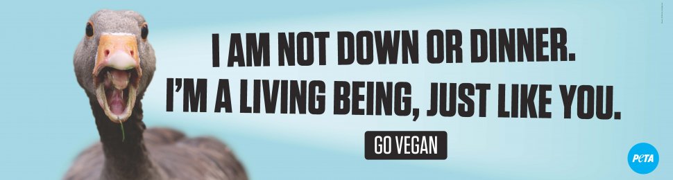 I Am Not Down Or Dinner. I’m A Living Being, Just Like You