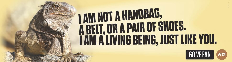 I Am Not A Handbag, A Belt, Or A Pair Of Shoes. I Am A Living Being, Just Like You