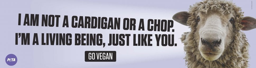 I Am Not A Cardigan Or A Chop. I’m A Living Being, Just Like You.