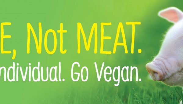 I’m ME, Not MEAT. See The Individual. Go Vegan (Piglet)