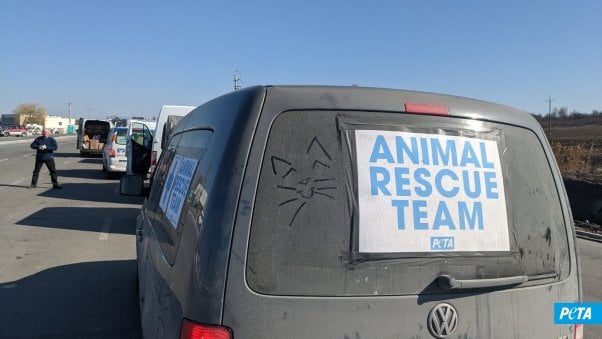 PETA Germany crosses border with van