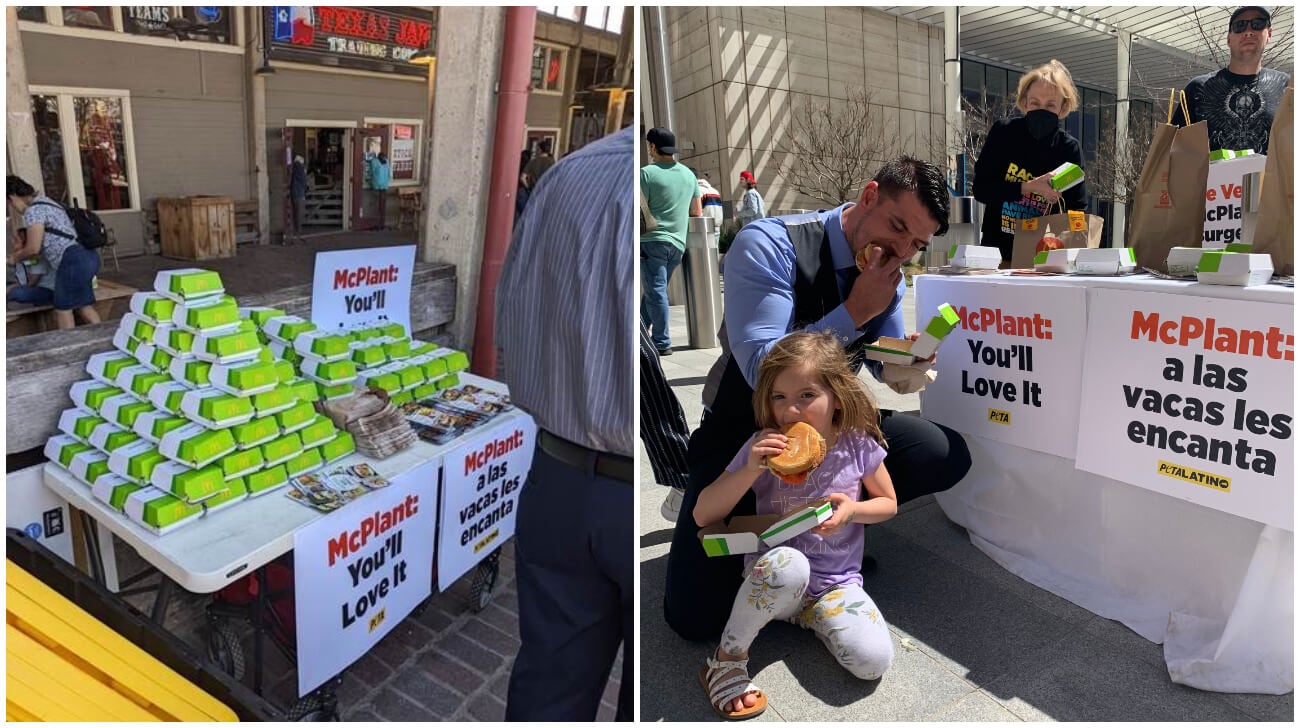 PETA thousands McPlant giveaways texas