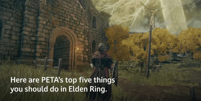 top things do elden ring from peta