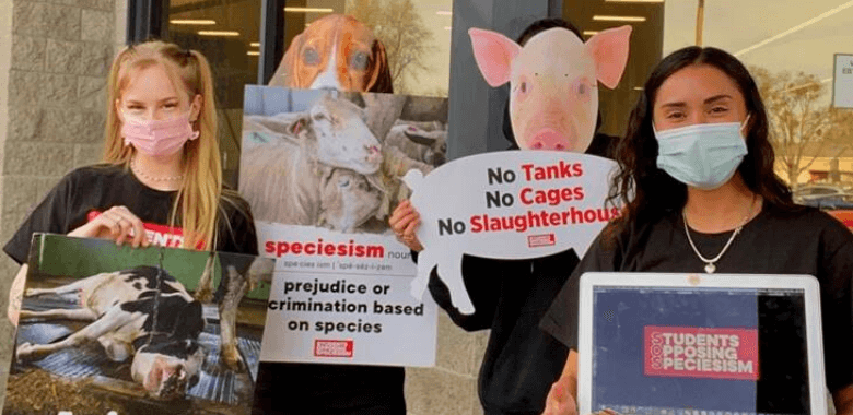 Fight for Animal Rights-Villana camisa-protección animal Vegan vegegarier punk PETA