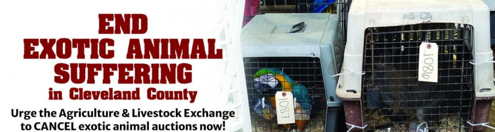 End Exotic Animal Suffering In Cleveland County