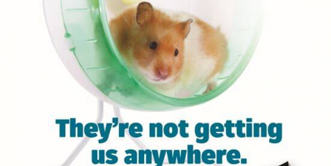 The Problem With Animal Experiments? They’re Not Getting Us Anywhere