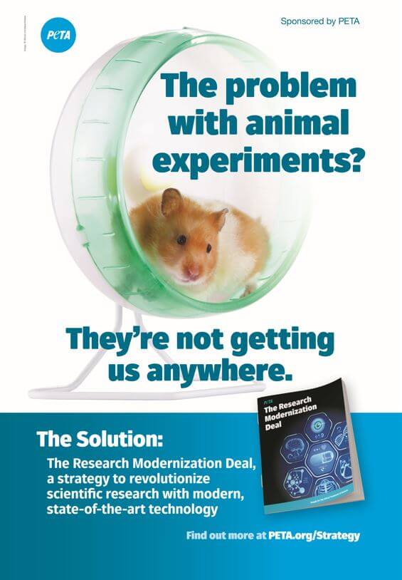 Animal Experimentation | PETA
