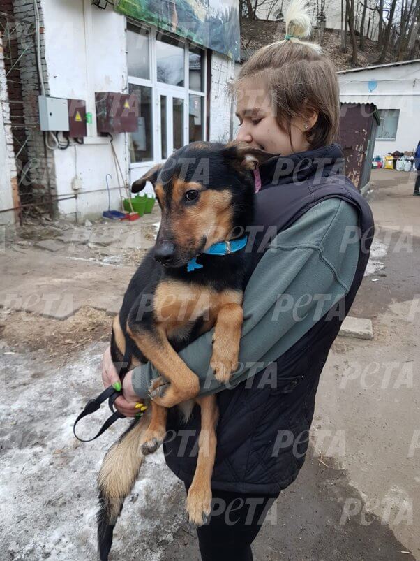 PHOTOS: PETA Germany’s FOURTH Ukraine Rescue Mission