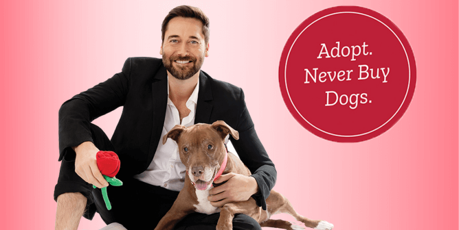 ryan eggold for peta's adopt never buy dogs ad