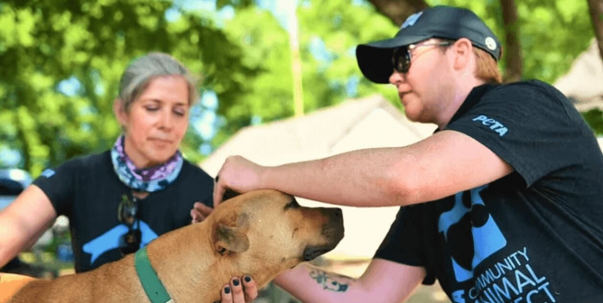 Animal companions helped by CAP workers
