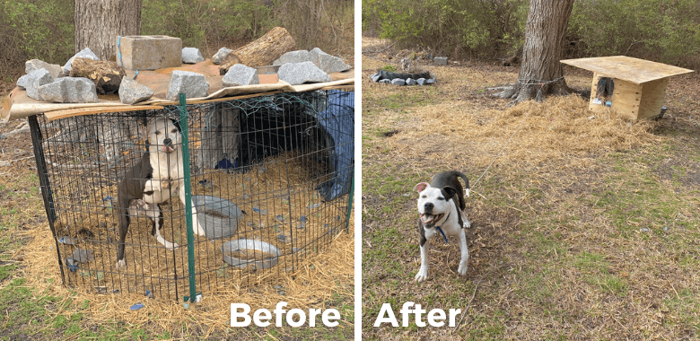 PETA Helps Chase Get More Space