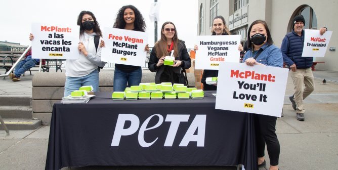 PETA Hands Out 10,000 Vegan McPlant Burgers, and Cows Are Lovin’ It