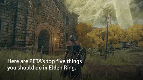 top 5 things elden ring
