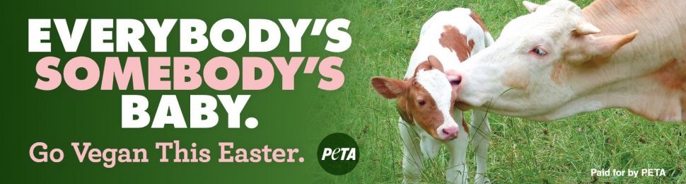 Everybody’s Somebody’s Baby. Go Vegan This Easter (Cow)