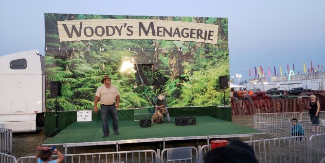 Woody’s Menagerie Owner Buys and Sells Animals and Has a History of Sending Them to Slaughterhouses