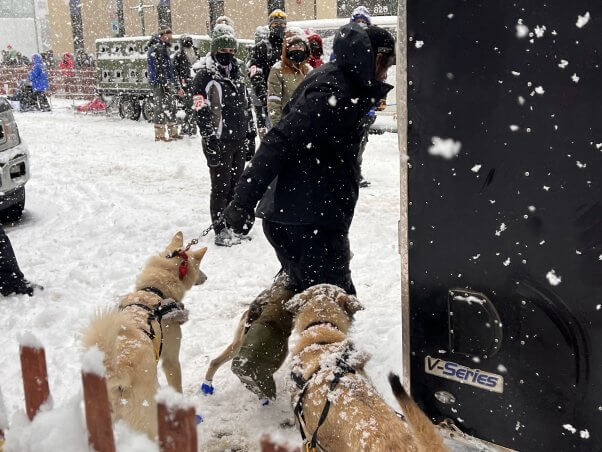This heartlessness is how mushers treat dogs at the Iditarod starting line. Imagine the abuse and neglect the animals must endure when they’re on the trail—when no one’s watching.