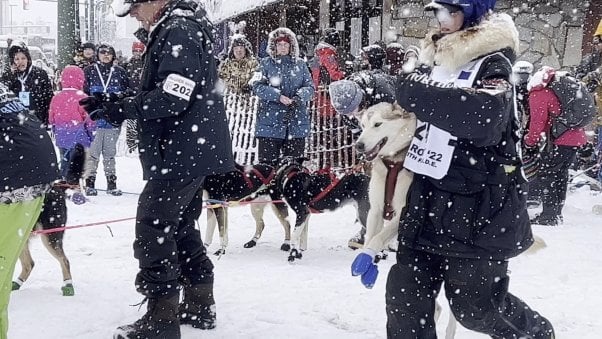 THIS Is How the Iditarod Is Actually Going