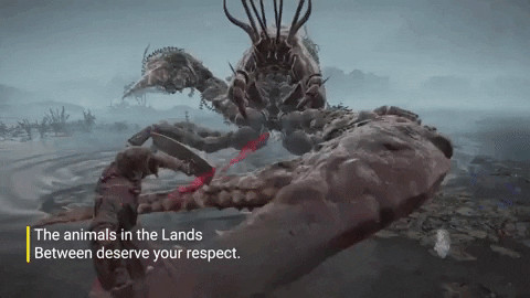 lobster attack elden ring