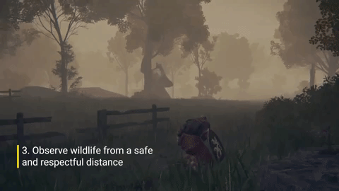 observe wildlife from a safe and respectful distance