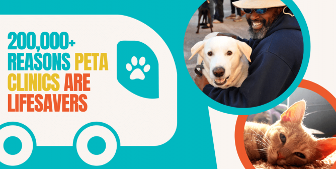 It’s the Eye-Opening Event of Spring! Join PETA for a Behind-the-Scenes Look at the Teams Helping Animal Companions Around the Globe