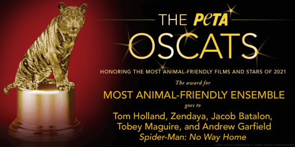 Most animal-friendly ensemble oscats 2021