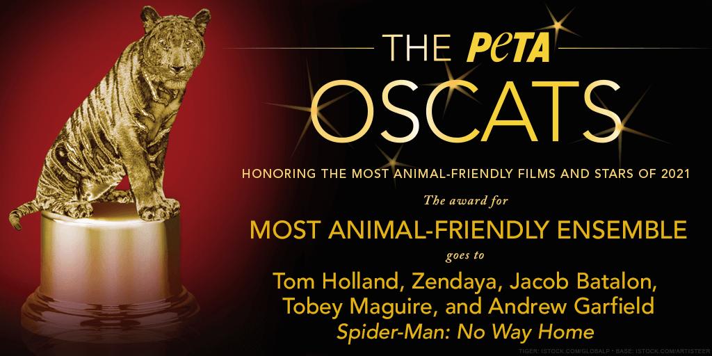 Find Out Who Won PETA's 2021 Oscat Awards | PETA