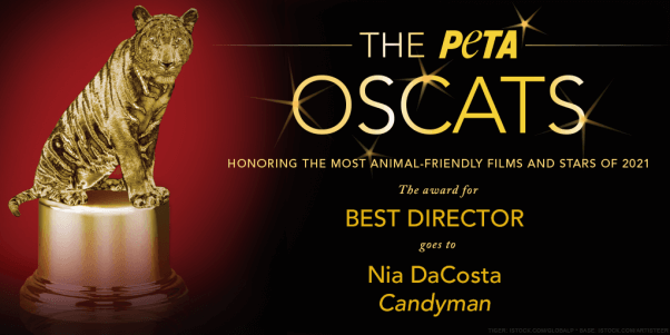 best director 2021 oscats