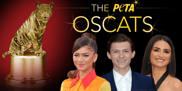 PETA 2021 oscat awards