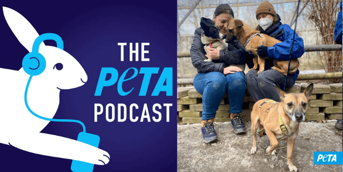 Go Behind the Scenes at PETA With Our New Podcast