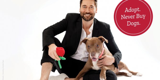 Ryan Eggold: Make A Shelter Dog Your Partner–For Life