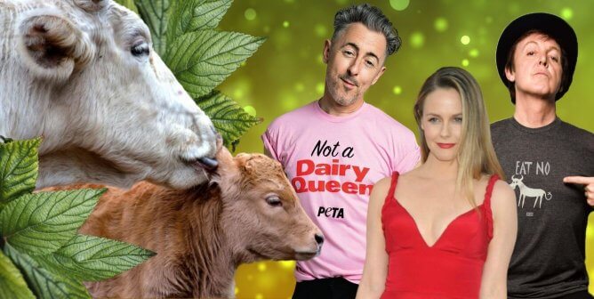 Celebs are calling out starbucks for vegan milk surcharge