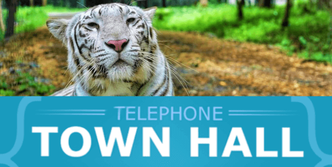 Telephone town hall virtual event