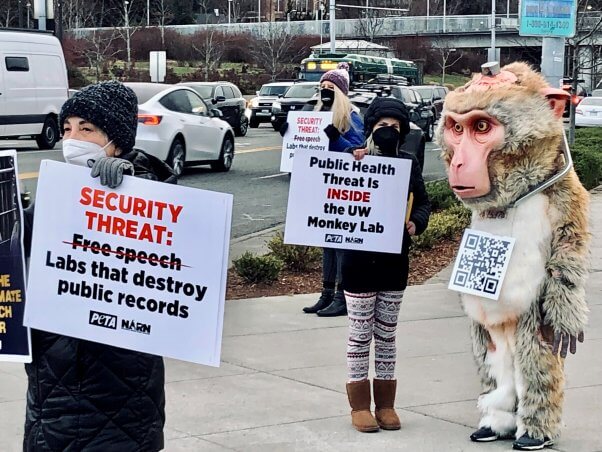 protestors gather at uw security conference protest in response to destroyed records