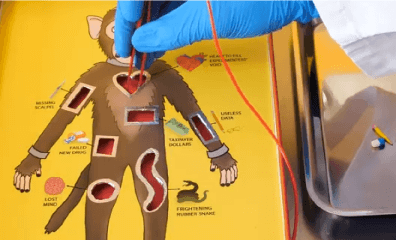 PETA’s ‘Operation’ Spin-Off Reveals Why Animal Experiments Aren’t a Game