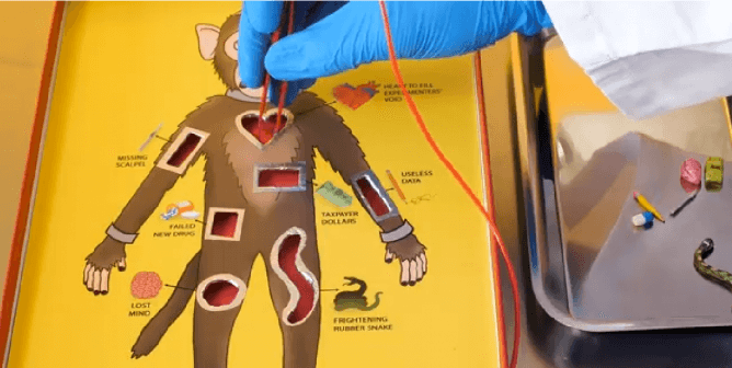 Operation Game: Vivisection Edition