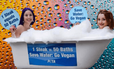 Eat Almonds and Want to Conserve Water? This Video Shows Why You Can Do Both