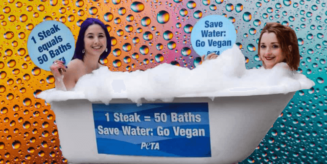 Eat Almonds and Want to Conserve Water? This Video Shows Why You Can Do Both