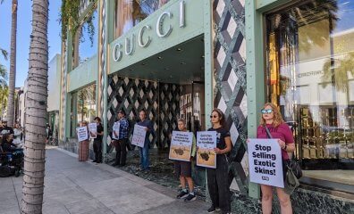 PETA Leads the Charge: Inside the Global Effort to Take Down Exotic Skins